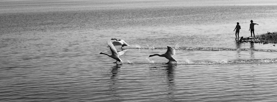 Photo Alien creature