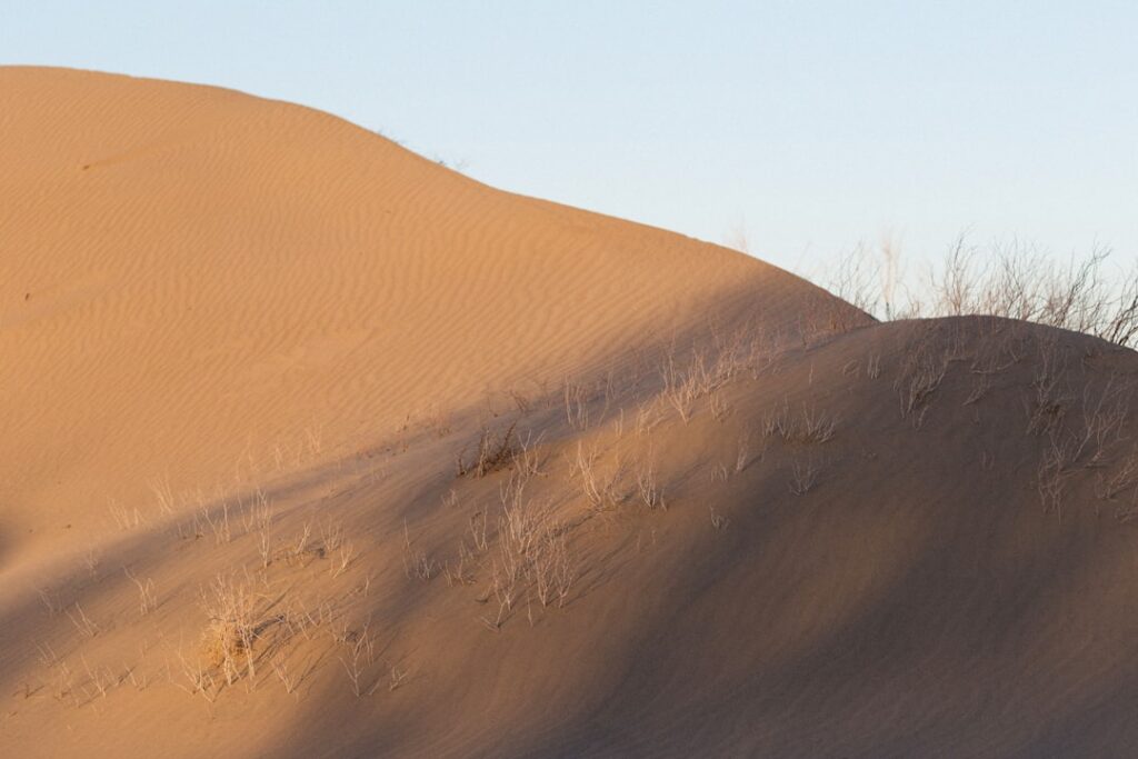 Photo Dune series