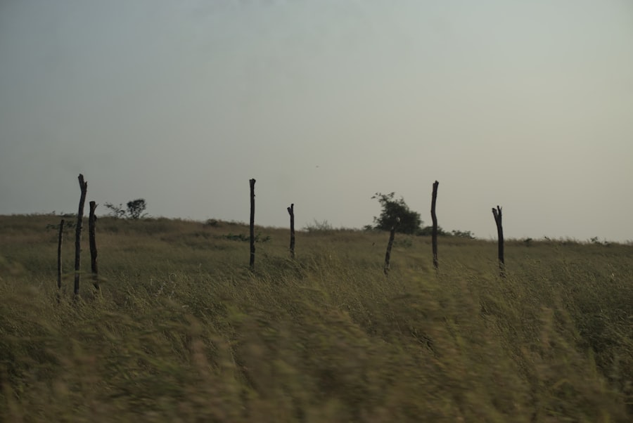 Photo Dystopian future